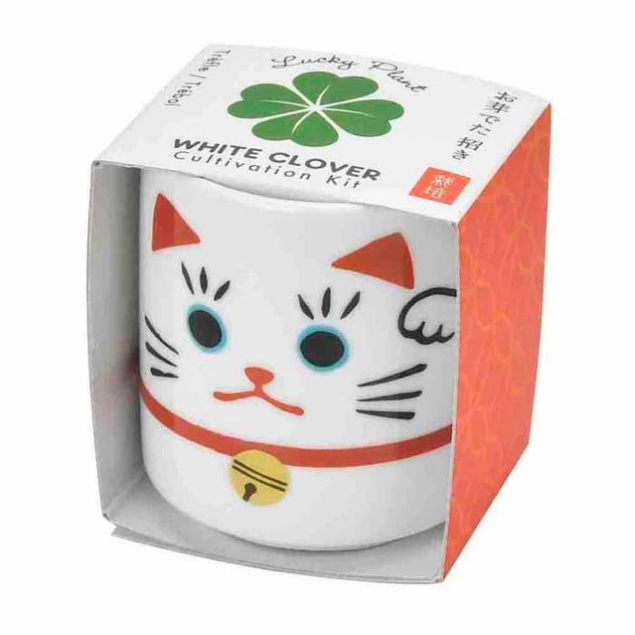 Kit de culture Trèfle Porte-Bonheur,  Maneki-neko
